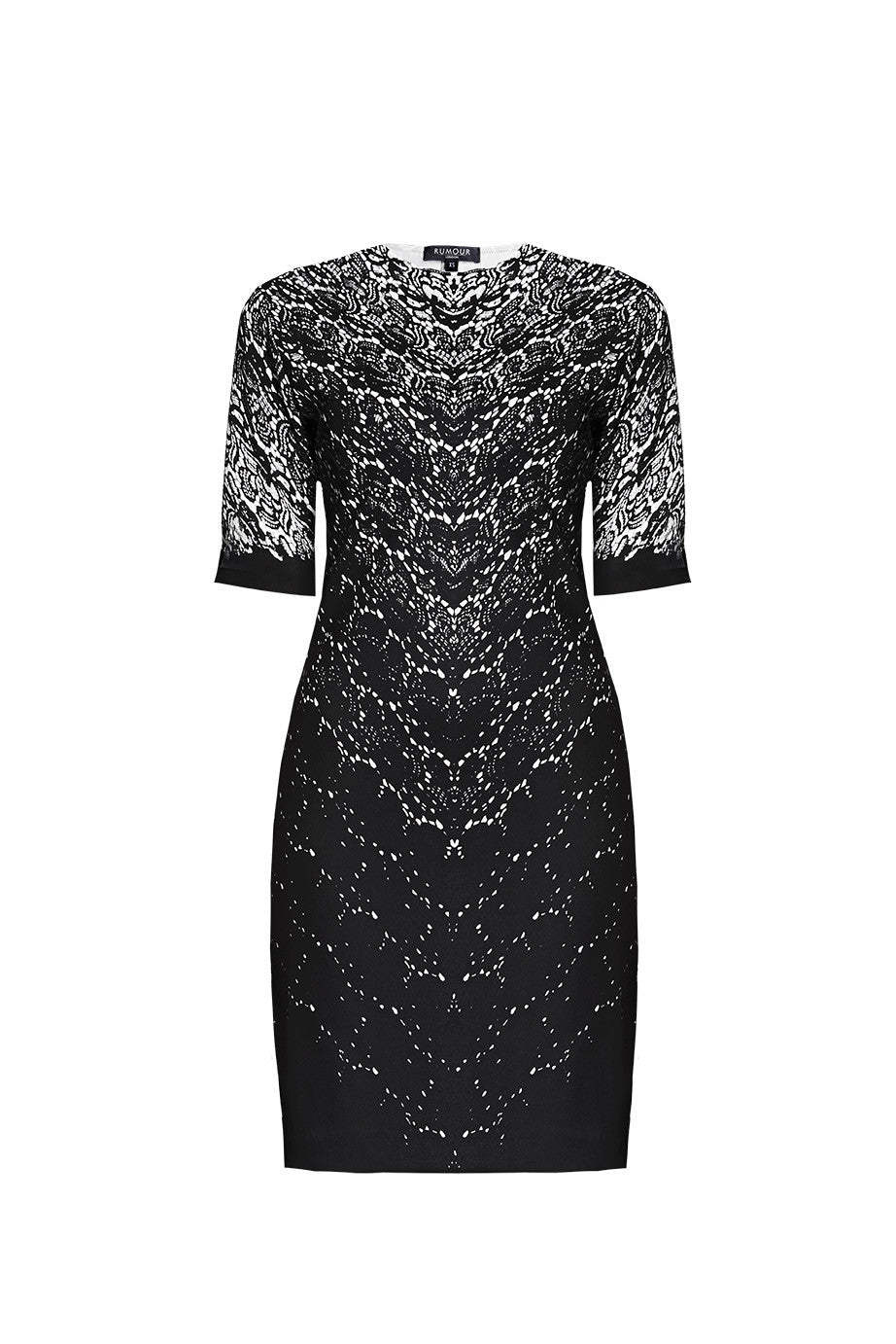 Printed lace monochrome fitted dress